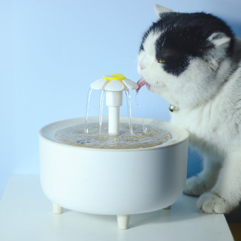Smart Pet Water Dispenser – Clean Flow All Day